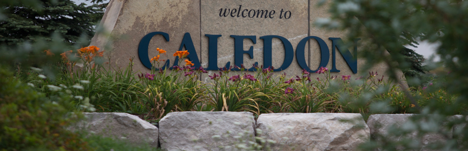 caledon real estate agents